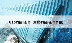 USDT是什么币（USDT是什么币价格）