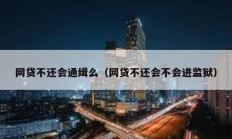 网贷不还会通缉么（网贷不还会不会进监狱）