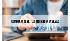 政府投资企业（合肥政府投资企业）