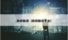 政府融资（政府融资平台）