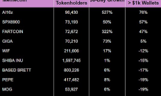 数据分析：哪个Meme币持有者持仓信念更高