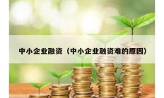 中小企业融资（中小企业融资难的原因）