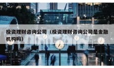 投资理财咨询公司（投资理财咨询公司是金融机构吗）