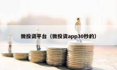 微投资平台（微投资app30秒的）