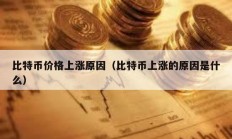 比特币价格上涨原因（比特币上涨的原因是什么）