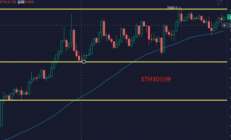 以太坊近期走势,十年后狗狗币能涨到100元吗