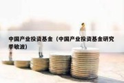 中国产业投资基金（中国产业投资基金研究 季敏波）