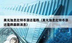 美元加息比特币涨还是跌（美元加息比特币涨还是跌最新消息）