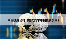 中国投资公司（现代汽车中国投资公司）