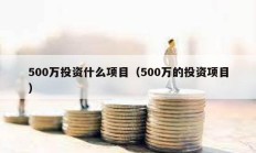 500万投资什么项目（500万的投资项目）