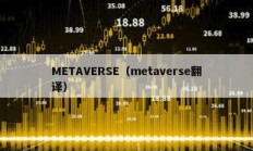 METAVERSE（metaverse翻译）