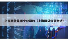 上海网贷是哪个公司的（上海网贷公司电话）