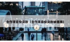 合作项目投资款（合作项目投资款被挪用）