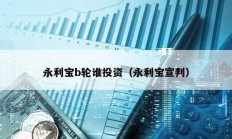 永利宝b轮谁投资（永利宝宣判）