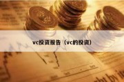 vc投资报告（vc的投资）