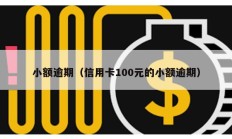 小额逾期（信用卡100元的小额逾期）