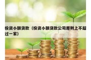 投资小额贷款（投资小额贷款公司原则上不超过一家）