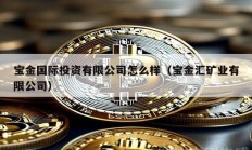 宝金国际投资有限公司怎么样（宝金汇矿业有限公司）