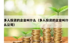 多人投资的企业叫什么（多人投资的企业叫什么公司）