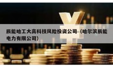 辰能哈工大高科技风险投资公司（哈尔滨辰能电力有限公司）