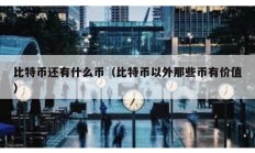 比特币还有什么币（比特币以外那些币有价值）