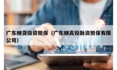 广东顺贷投资担保（广东顺高投融资担保有限公司）