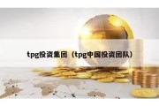 tpg投资集团（tpg中国投资团队）