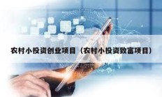 农村小投资创业项目（农村小投资致富项目）