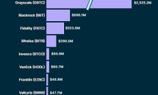 美国现货比特币 ETF 积累了多少资产？