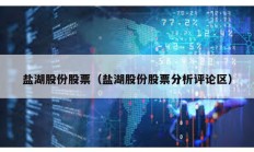 盐湖股份股票（盐湖股份股票分析评论区）