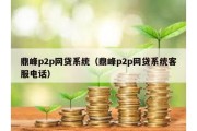 鼎峰p2p网贷系统（鼎峰p2p网贷系统客服电话）