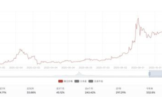 新经币价格趋势,新经币xem最新消息