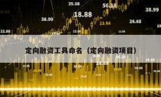 定向融资工具命名（定向融资项目）