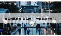 什么叫比特币?怎么玩（“什么是比特币”）