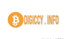 digiccy交易所,diu交易所