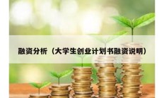 融资分析（大学生创业计划书融资说明）