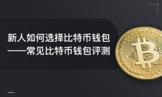 比特币本地钱包,德国政府钱包地址转出200枚BTC