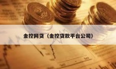 金控网贷（金控贷款平台公司）
