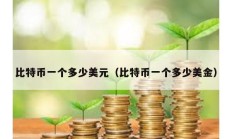 比特币一个多少美元（比特币一个多少美金）