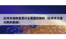 比特币涨跌是受什么原因控制的（比特币大涨大跌的原因）