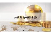 pe投资（pe投资今后）