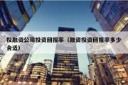 投融资公司投资回报率（融资投资回报率多少合适）