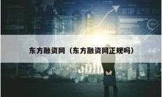 东方融资网（东方融资网正规吗）