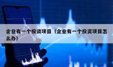 企业有一个投资项目（企业有一个投资项目怎么办）