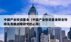 中国产业投资基金（中国产业投资基金综合效绩及发展战略研究的心得）