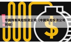 中国所有风险投资公司（中国风险投资公司 何琼）