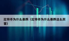 比特币为什么暴跌（比特币为什么暴跌这么厉害）