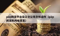 p2p网贷平台设立分公司怎样运作（p2p网贷机构啥意思）