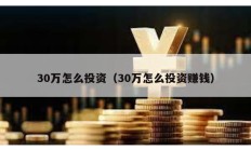 30万怎么投资（30万怎么投资赚钱）