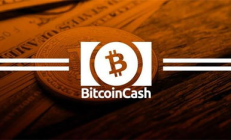 bch 钱包,bk钱包是什么钱包